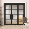 ThruEasi Room Divider - Chelsea 4 Pane Black Primed Clear Glass Unfinished Double Doors With Single Side