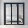 ThruEasi Room Divider - Soho 4 Pane Charcoal Clear Glass - Prefinished Double Doors With Single Side